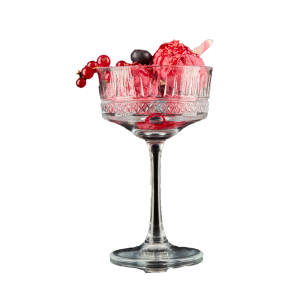 Inghetata Fructe de Padure